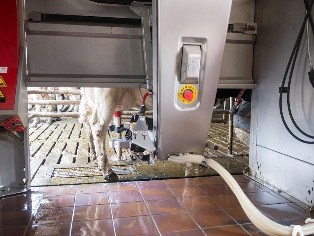 Ferienwohnung Sonnenaufgangsgenuss Harriersand Schwanewede ภายนอก รูปภาพ