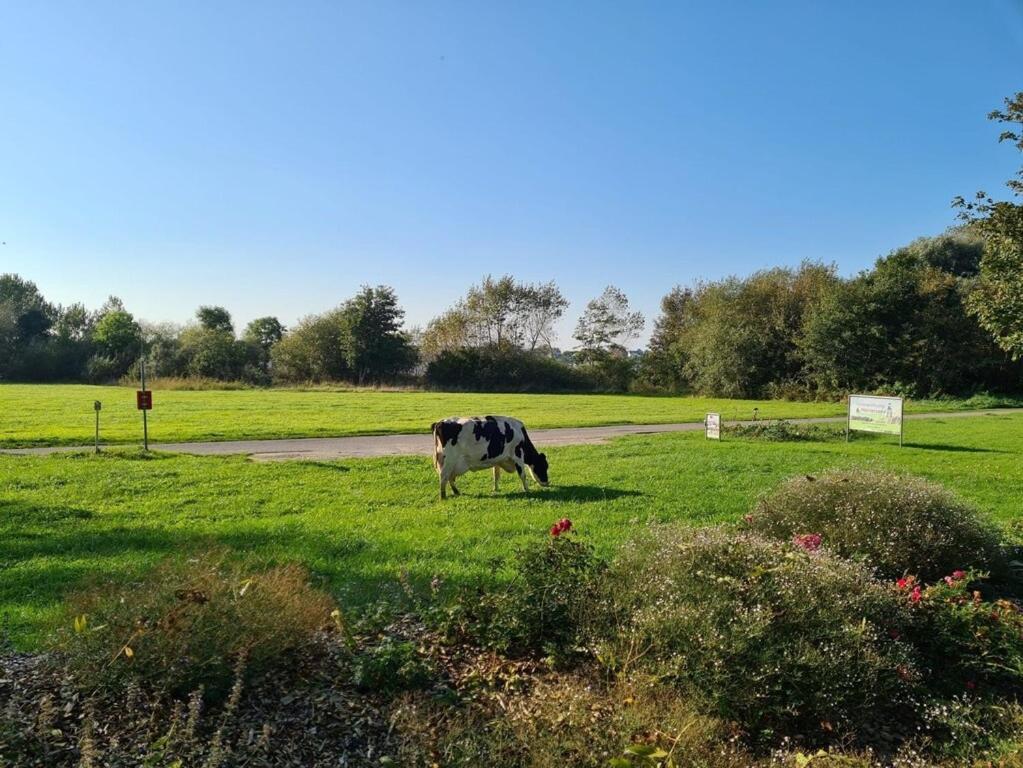 Ferienwohnung Sonnenaufgangsgenuss Harriersand Schwanewede ภายนอก รูปภาพ